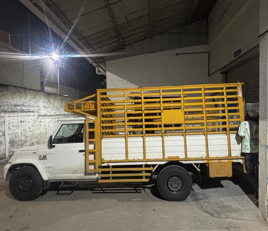 Packers Movers Service